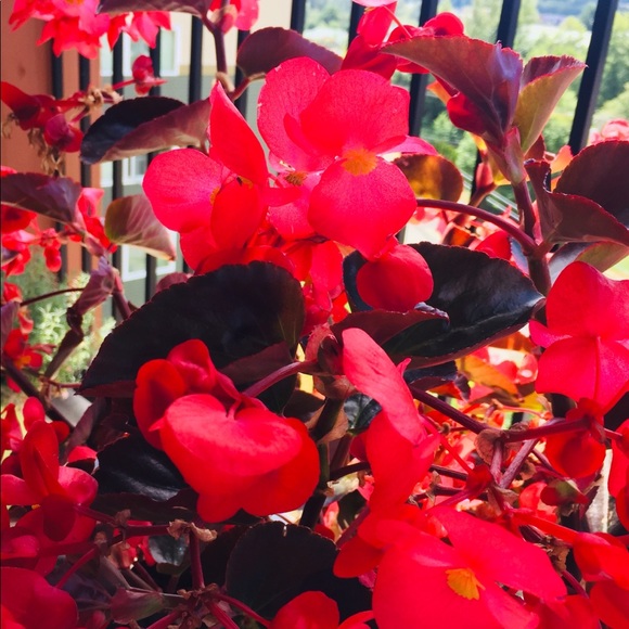 @choicecloset WELCOME TO MY CLOSET! - Picture 6 of 8